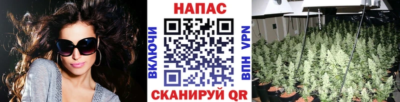 Бошки Шишки тримм  Абаза 